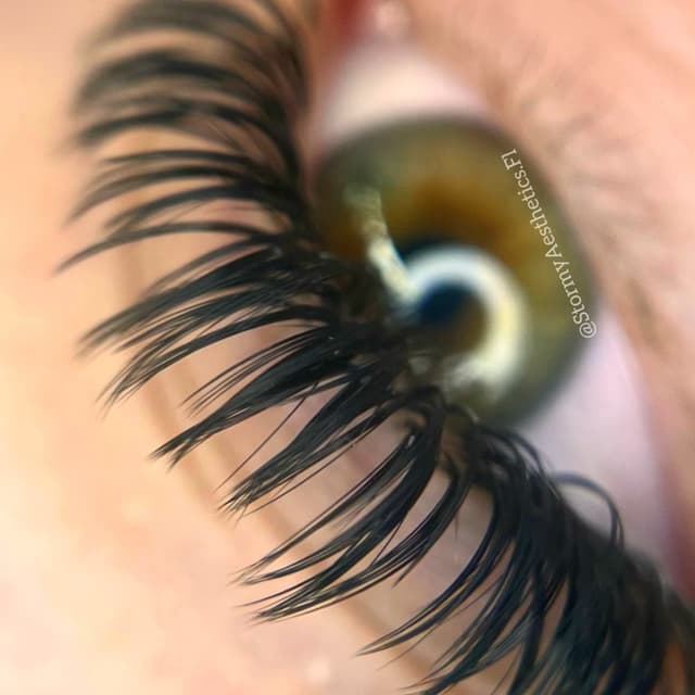 Lash Pack 8: Wet Set at Stormy Aesthetics in Clearwater, FL