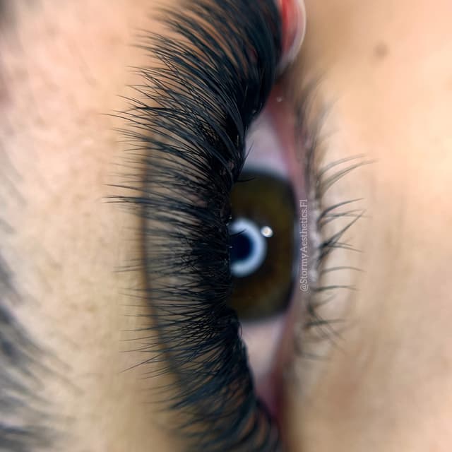 Lash Pack 20: Volume at Stormy Aesthetics in Clearwater, FL
